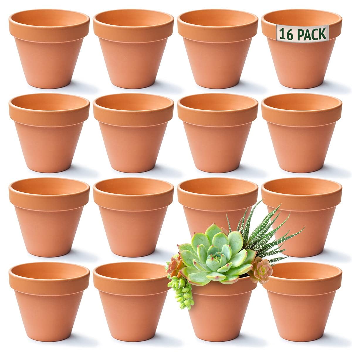 Green Thumbz Terracotta Plant Pots - 8cm x 16 Pack Small Plant Pots - Multi Purpose Mini Terracotta Pots for Plants, Flowers, Candle Making, and Painted Art