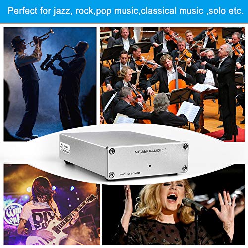 FX AUDIO MM/MC Phono Preamp Turntable Preamplifier RIAA Amplified Line