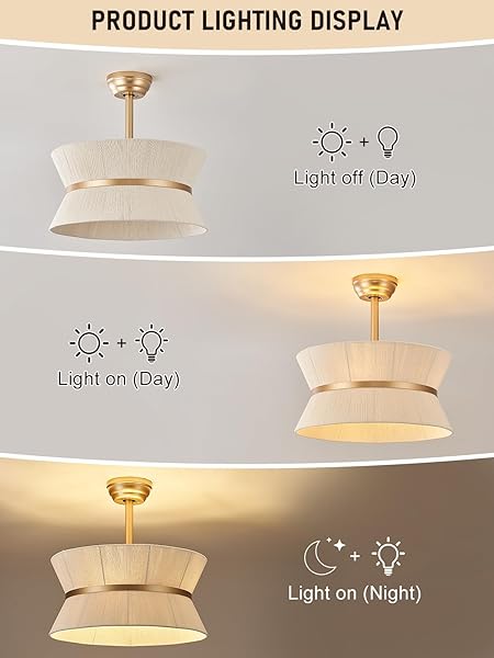 WONGU BOHO FANDELIER CEILING FAN WITH LIGHT AND REMOTE RATTAN CHANDELIER FAN GOLD CAGED CEILING FAN WITH LIGHT FOR BEDROOM, LIVING ROOM NURSERY，FOYER，KITCHEN（6 SPEED, TIMING ADJUSTABLE HEIGHT）
