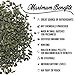 Organic Gunpowder Green Tea Loose Leaf by The Tea Company 4oz