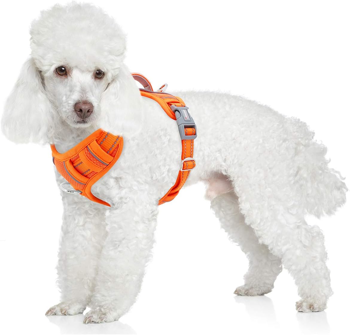BARKBAY No Pull Dog Harness Front Clip Heavy Duty Reflective Easy Control Handle for Large Dog Walking with ID tag Pocket(Orange,S)