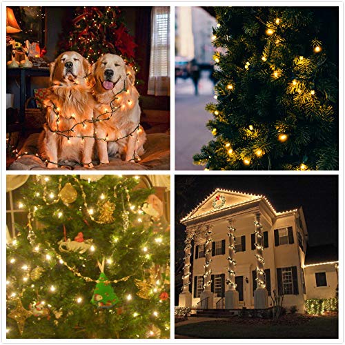 2Pack Extendable Christmas Lights, Waterproof Green Wire Twinkle Lights for Indoor & Outdoor, 8