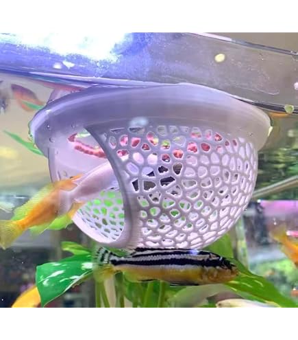 BOLOUY Aquariums Floating Plant Floating Plant Fence Fish Feeding Rings for Fishtanks Househould Fishtanks Supplies : Pet Supplies