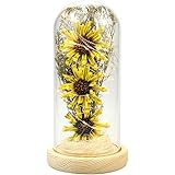 BLOCE Artificial Sunflower in Glass with LED Light, Colorful Flower Gift for Mother's Day, Valentine's Day Wedding Anniversar