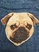 GERINLY Animal Print Scarves: Cute Dogs Pattern Voile Oblong Scarf (Blue)
