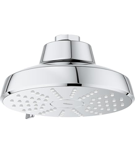 Grohe Relexa Rustic 100 5-Spray Showerhead - Amazon.com