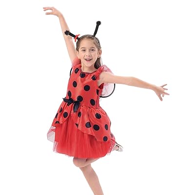 ladybug dress 4t