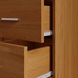 Panana Modern 2 Door 2 Drawer Wardrobe Oak Effect 77x50x180cm view 7