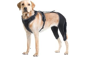 Dog Leg Braces for Hind Leg for Back Legs Dog Acl Knee Brace Support Back Leg with Arthritis Pain luxating Patella Cruciate L