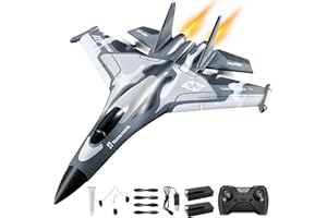 AIGIMU 3CH RC Airplane, RC Plane with Night Light, 2.4GHz F-22 Remote Control Airplane with 6-axis Gyro Stabilizer Easy to Fly Fighter Aircraft for Adults Kids Beginners Boys