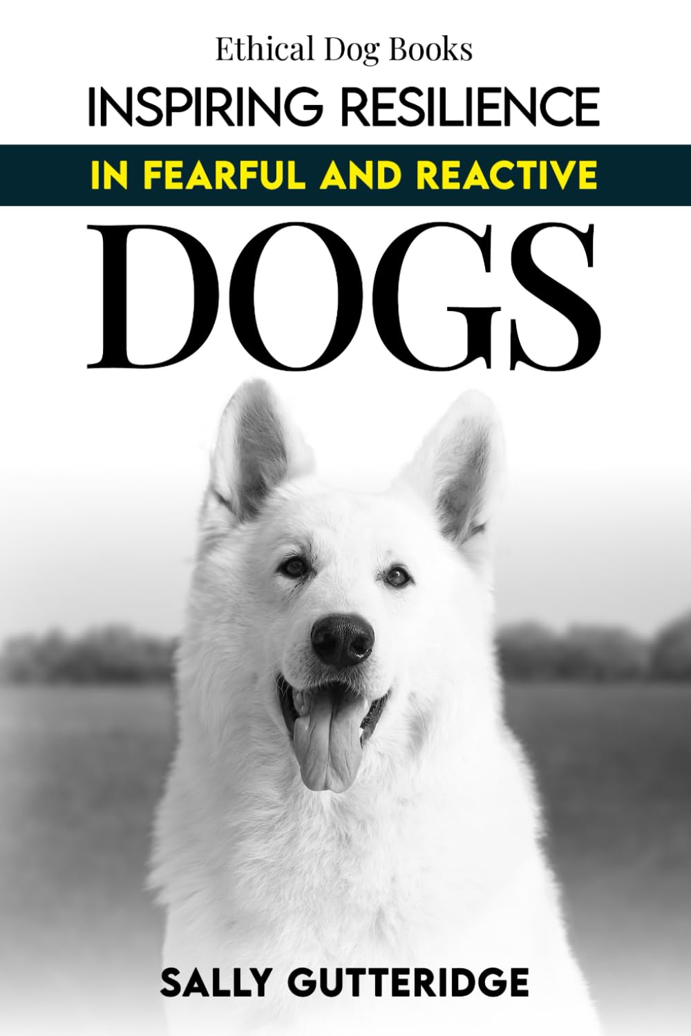 Inspiring Resilience in Fearful and Reactive Dogs (Ethical Dog Training Books)