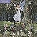 Fairyland 2015 (with glittered cover) Square 12x12 Flame Tree