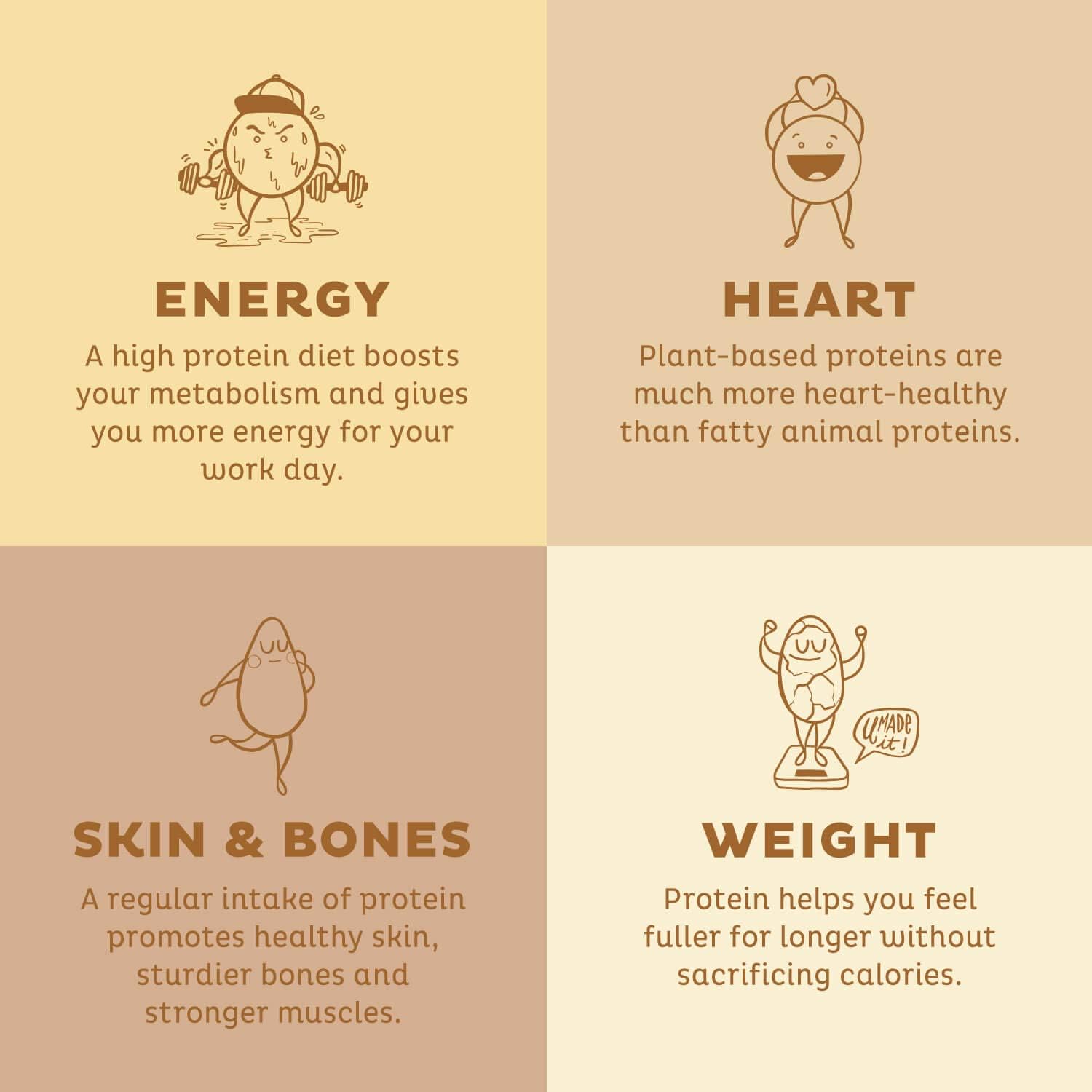 KOS Organic Plant Based Protein Powder, Vanilla - Delicious Vegan Protein Powder - Gluten Free, Dairy Free & Soy Free - 2.4 Pounds, 30 Servings: Health & Personal Care