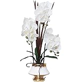 CXGS Orchids Artificial Flowers Real Touch Fake Flower in Ceramic Pot 20" White Faux Orchid Plant Lifelike Silk Phalaenopsis for Centerpiece Hotel Home Indoor Decor