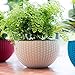Growers Hanging Basket, Indoor Outdoor Hanging Planter Basket, 10.4 in.Round Resin Garden Plant Hanging Planters Decor Pot (White)