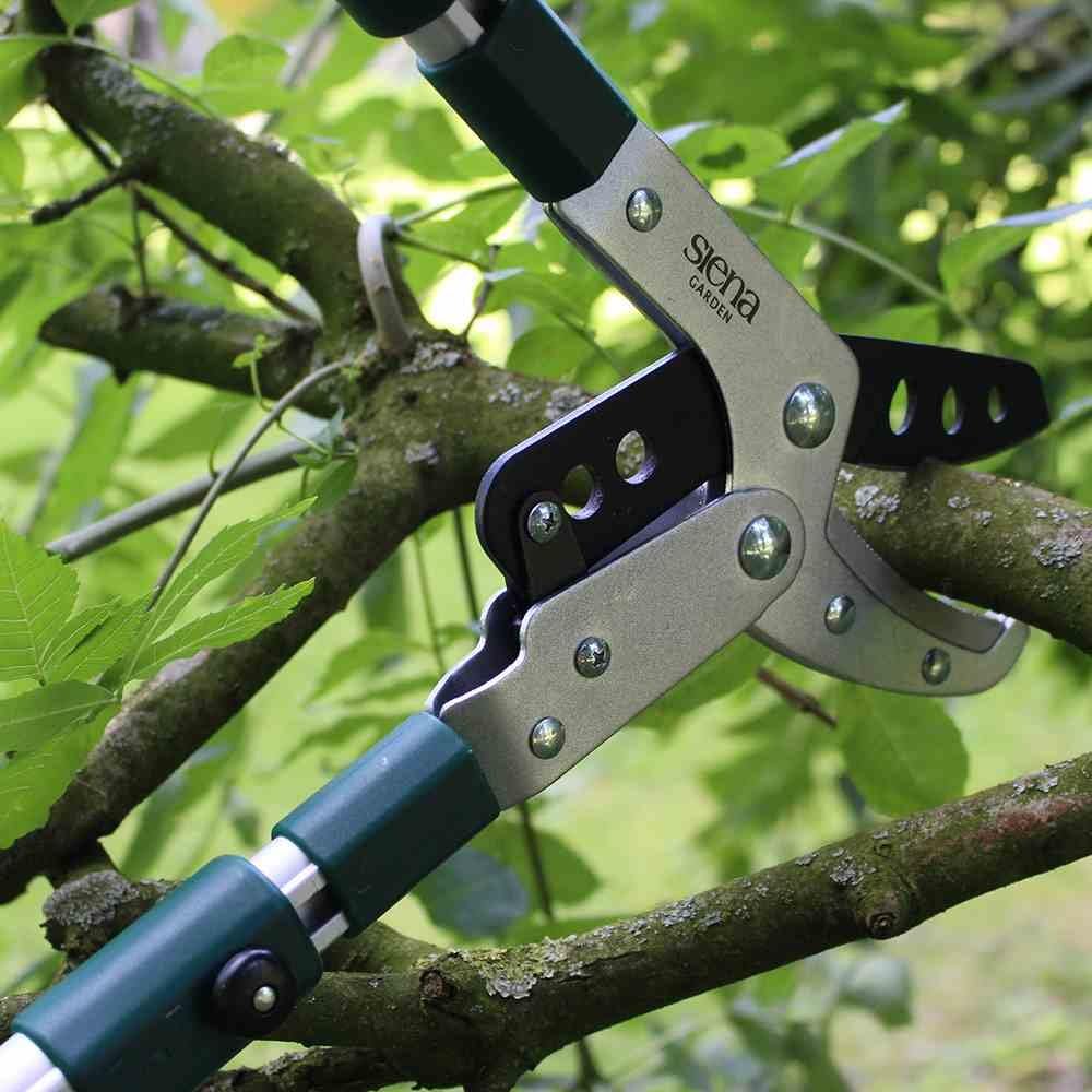Siena Garden Pro Alu Amboss Astschere, teleskopierbar