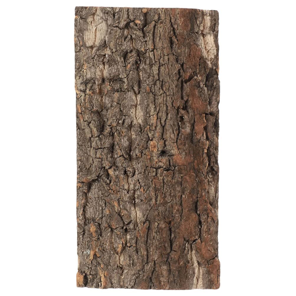 POPETPOP Reptile Tank Background Cork Terrarium Background Natural Bark Backdrop Reptile Climbing Wall Tank Background Decor for Turtle Beared Dragon Chameleon Snake