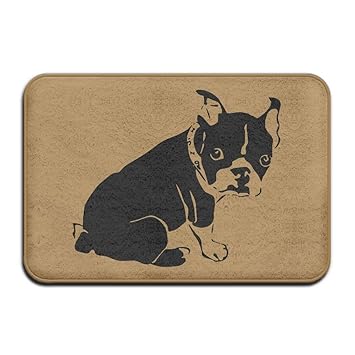 Amazon Com Zozgetu Doormat Black Boston Terrier Non Slip
