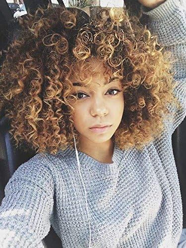 Dark Auburn Ombre Honey Blonde Long Curly Synthetic Wigs Heat Resistant for African Americans Two Tone Synthetic Full Wig for Women Party Wigs