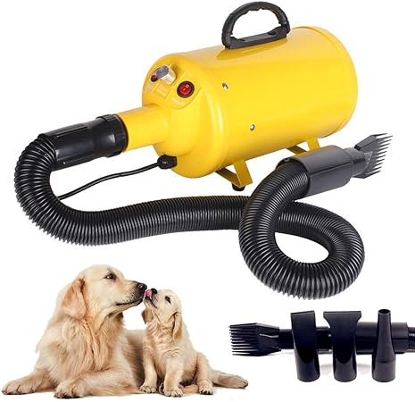 dog hair dryer pets at home