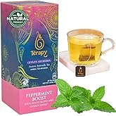 Térapy Ceylon Peppermint Tea | All Natural Herbal Ingredients | 100% Organic Peppermint Tea Bags Individually Wrapped | Eco-friendly & Unbleached Herbal Tea Bags | 20 Count