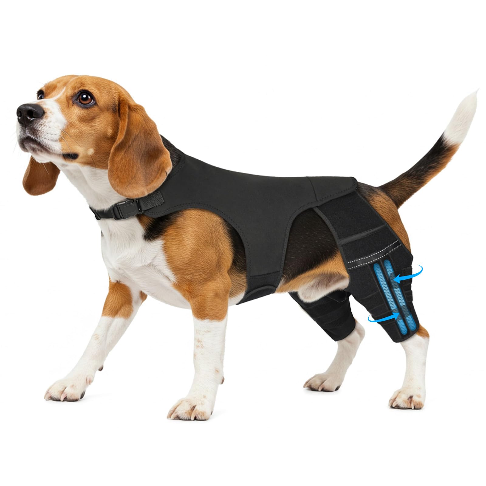 Photo 1 of Marnonsis Dog Leg Braces for Back Leg, Adjustable Dog Knee Brace for Torn Acl Hind Leg with 4 Stabilizers, Hip Support to Reduces Pain, Ligament Injuries & Luxating Patella for Small Medium Large Dogs