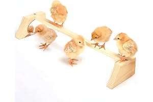 Chicken Perch for Brooder with Mirror S SANGLE SOPFFY Baby Chicken Supplies Chicken Toys Chick Jungle Gym Roosting Bar Coop and Brooder Training Chicken Stand Toy for Chicks Parrots Pets,Trapezoidal…
