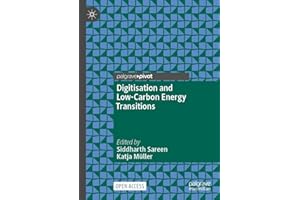 Digitisation and Low-Carbon Energy Transitions