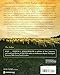 John (Zondervan Illustrated Bible Backgrounds Commentary)