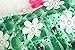 JerrisApparel New Princess Party Dress Costume With Flower Cape