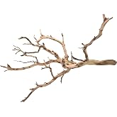 Koyal Wholesale California Driftwood with Natural Brown Branches, 36-Inch Large Driftwood Decor