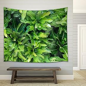 Green Tropical Leaf Pattern Stock, Dominican Republic - Fabric Wall Tapestry Home Decor - 51x60 inches