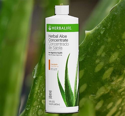 aloe vera wüstenlilie Aloe vera | Sukkulente main image 1