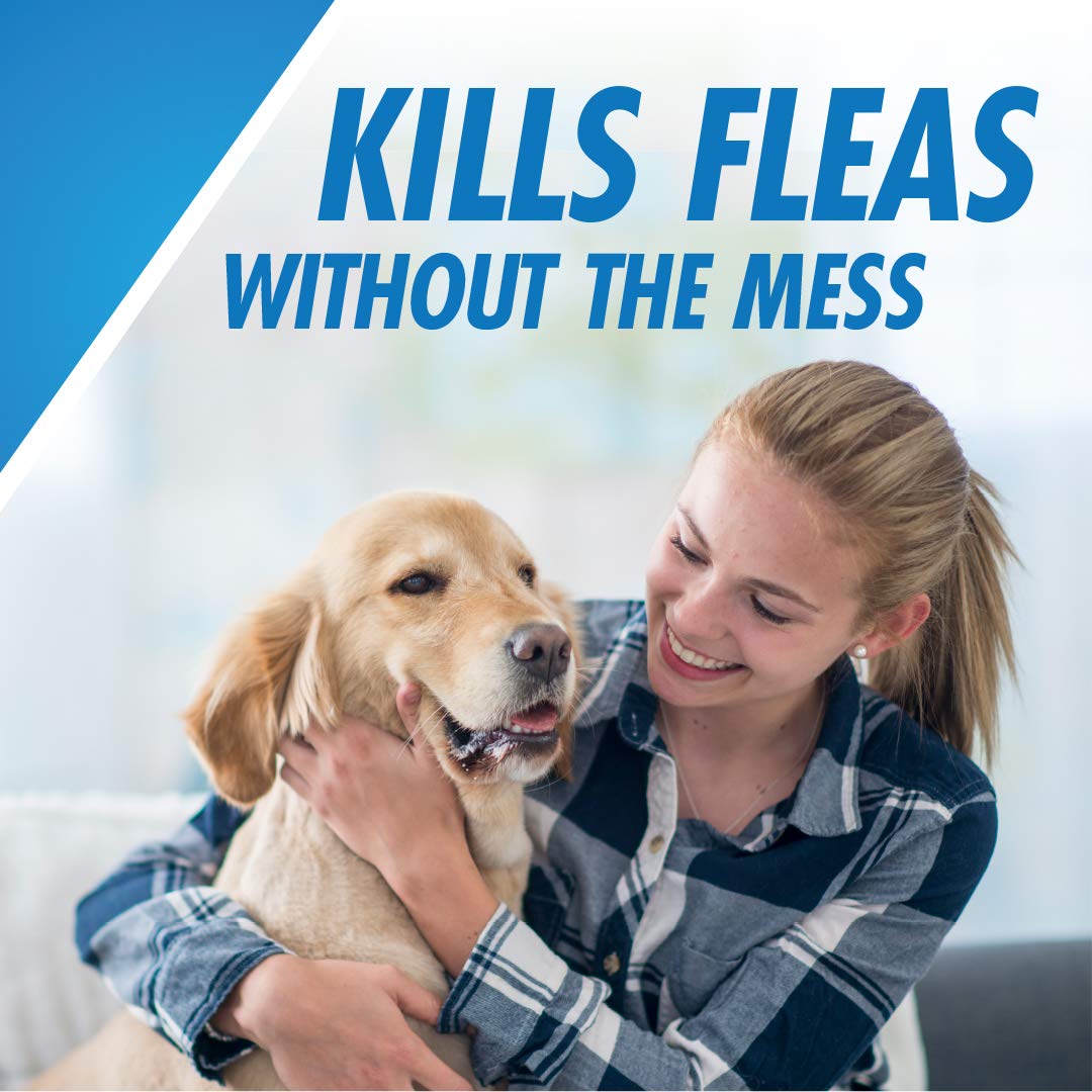 Reviews CapAction Oral Flea Treatment Large Dog 6ct