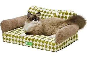 MEWOOFUN Cat Bed for Indoor Cats Orthopedic Dog Bed for Small Medium Dogs, Egg- Foam Pet Bed with Removable Washable Cover and Non-Slip Bottom (Medium, Green)