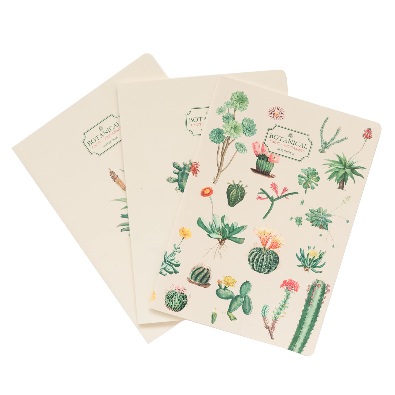 Grupo Erik A5 Notebook Set - Botanical Cacti | 3 A5 Notebooks - Lined, Plain, Dotted - 32 sheets (64 pages) | Flower Notebook, Cute Stationery Gifts Under 10 Pounds