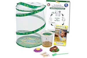 Butterfly Garden: Original Habitat and Live Cup of Caterpillars with STEM Butterfly Journal – Life Science & STEM Education –