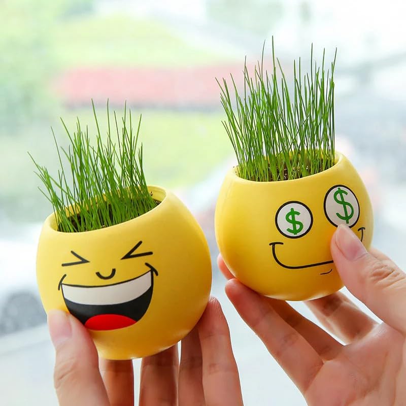 WEERSHUN Cute Emoji Grass Planter 3 Pack - DIY Grow Your Own Hair Plant for Fun Desk Decor - Just Add Water - Funny Smiley Face Pot - Indoor Plant Gift for Kids & Adults