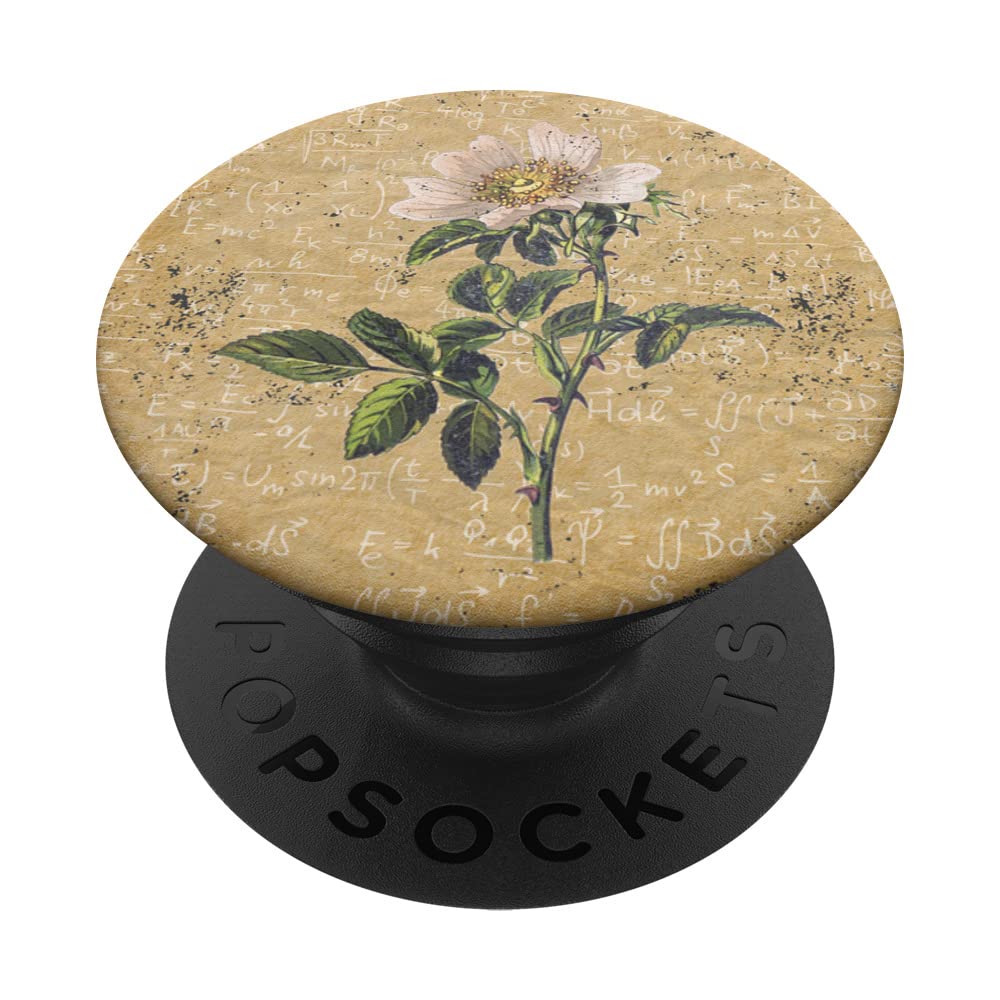 Aesthetic White Wild Flower Floral Vintage Cottagecore PopSockets Swappable PopGrip