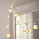 NYKKOLA 20 LED Battery Operated String Flower Rose Fairy Light Wedding Room Garden Christmass Decor (Warm White)
