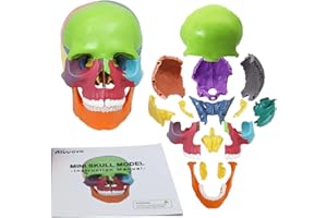Anatomy Skull Model Aliwovo Human Anatomical Skull 15-Parts Puzzle Mini Colorful Medical Model with Color Study Manual, Teaching-Learning Tool