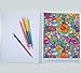 Color Your Day! - an Adult Coloring Book - Includes Colored Pencils - Inspirational Quotes - Spiral Bound - 8.5
