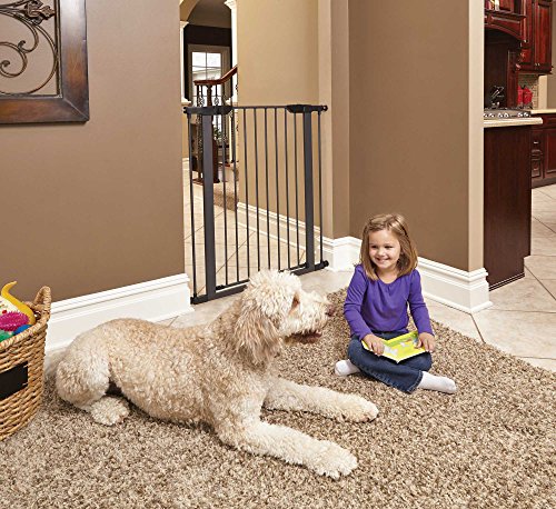 MidWest Pet Gate - Image 3
