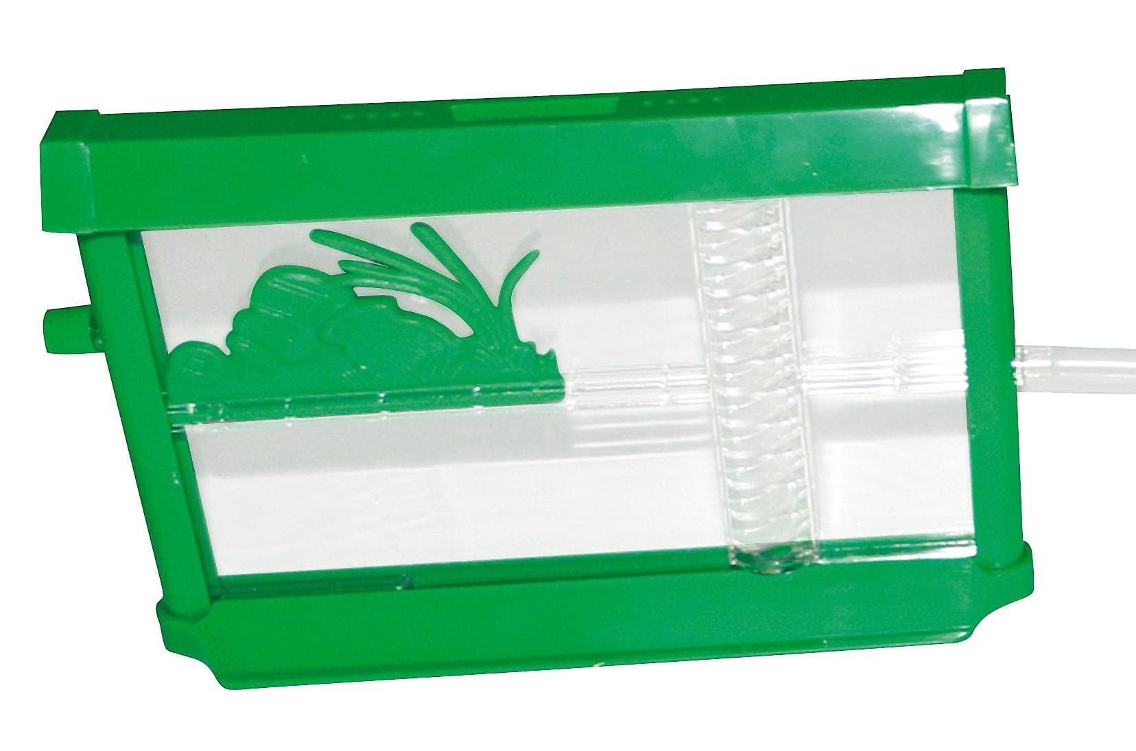 Eduplay ''Ant Farm'' Experiments