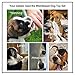 WB WEIRDBEAST Dog Toy Set Dog Rope Toys Rubber Balls Ropes Chew Squeaky Cotton Plush Pet Dog Teething Training Play Toys Flying Discs for Small Medium Dogs