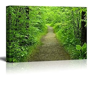 Canvas Prints Wall Art - Walking Path in The Summer Forest | Modern Wall Decor/Home Decoration Stretched Gallery Canvas Wrap Giclee Print. Ready to Hang - 12" x 18"