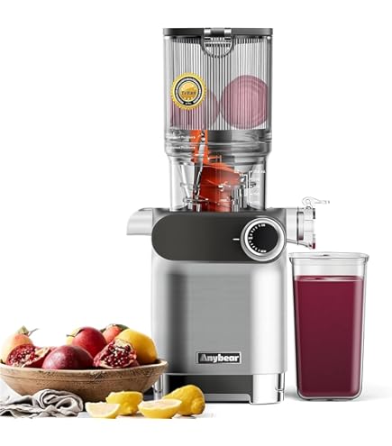 Panasonic juicer White MJ-H200-W : Amazon.ca: Home