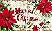 Evergreen Garden Poinsettia Floor Embossed Door Mat, Multicolor