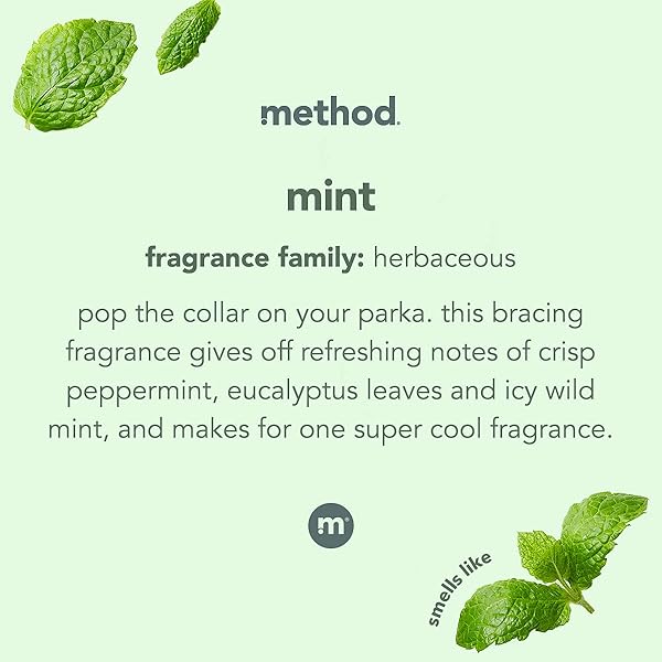METHOD GLASS CLEANER, MINT, 28 OUNCES
