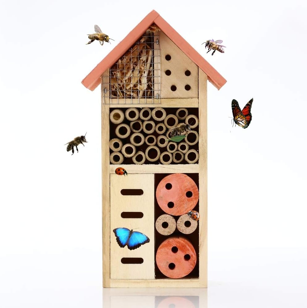 Buddy Wild Insect Bee House - Eco-Friendly Bug Hotel for Garden